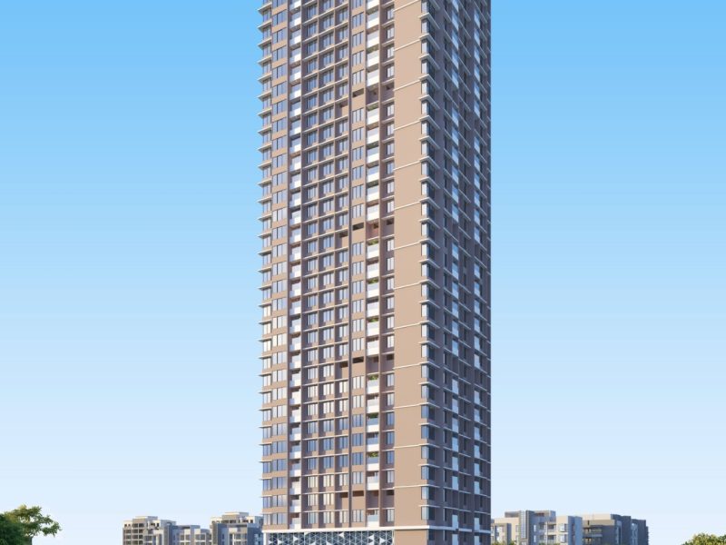 WhatsApp Image 2024-12-28 at 1.33.35 PM (1)